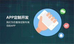 开云官方app下载站公司、高质量的开云官方app下载站系统是怎么开发出来的？-北京软件外包